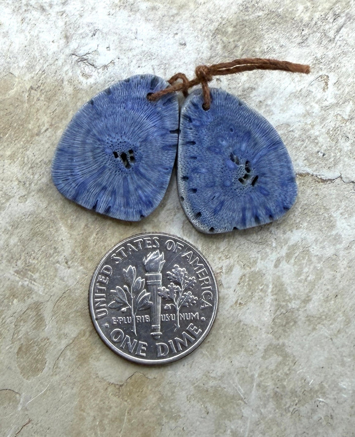 FRIDAY BARGAIN Blue Sponge Coral Matching Earring Slab Bead