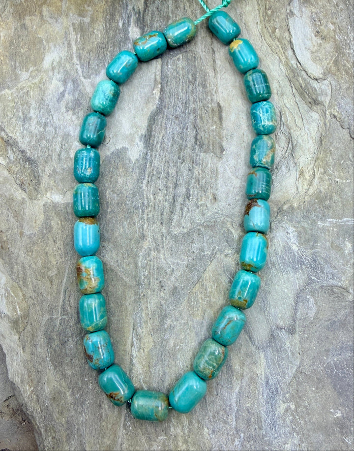 FRIDAY BARGAIN BUY Campitos Turquoise (Mexico) Barrel Beads