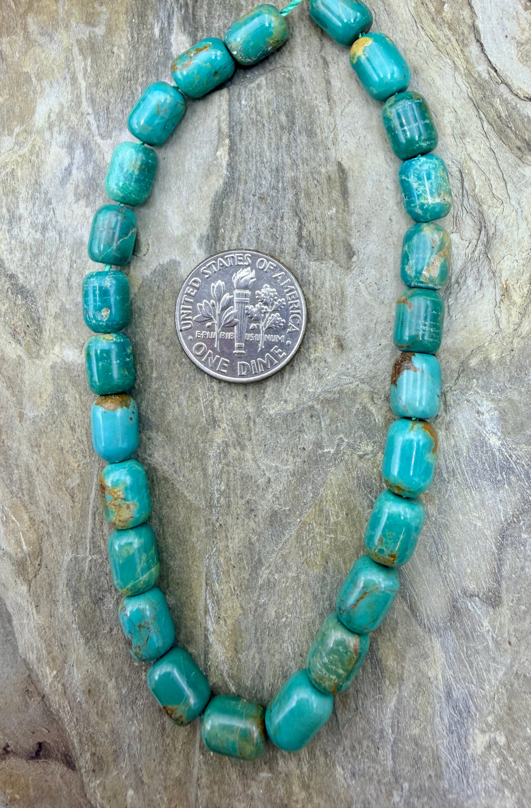 FRIDAY BARGAIN BUY Campitos Turquoise (Mexico) Barrel Beads