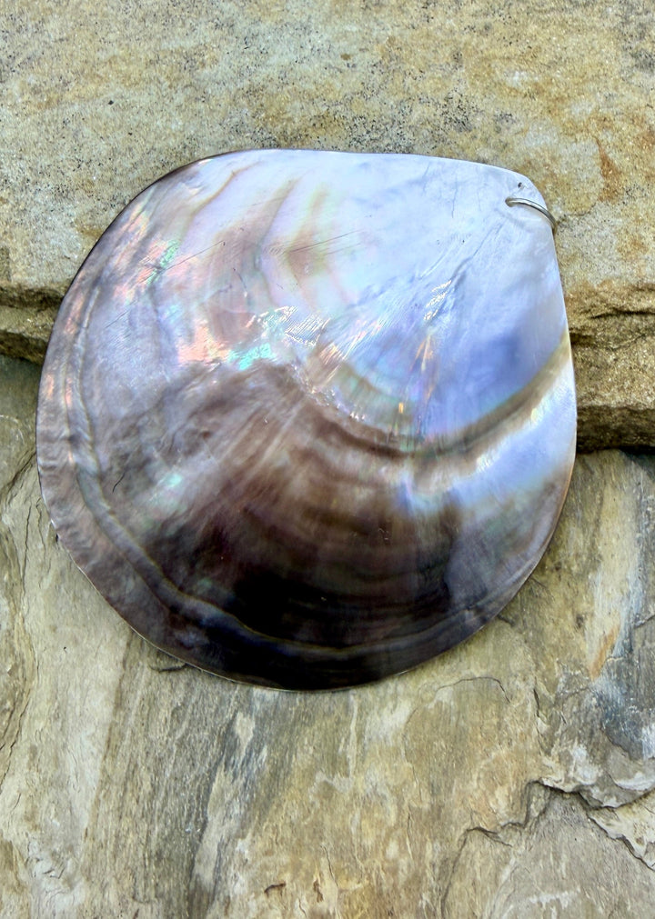 FRIDAY BARGAIN BUY HUGE Sea Shell Pendant 89mm - Mixed Lot