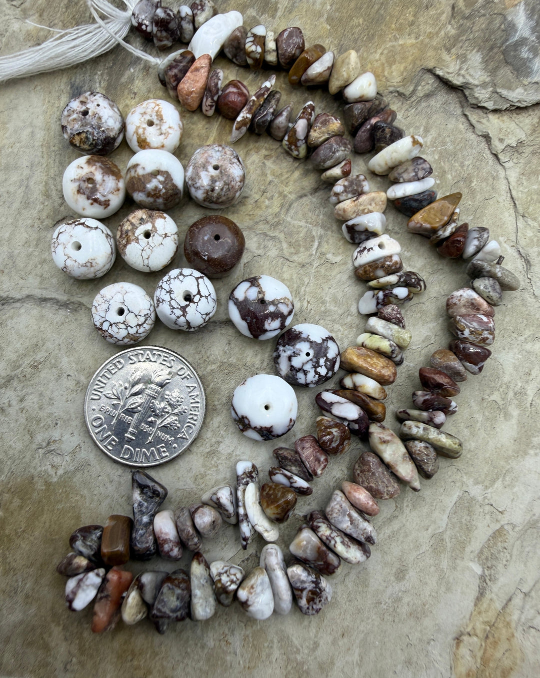 FRIDAY BARGAIN BUY RARE Arizona Wild Horse LOT of Rondelle