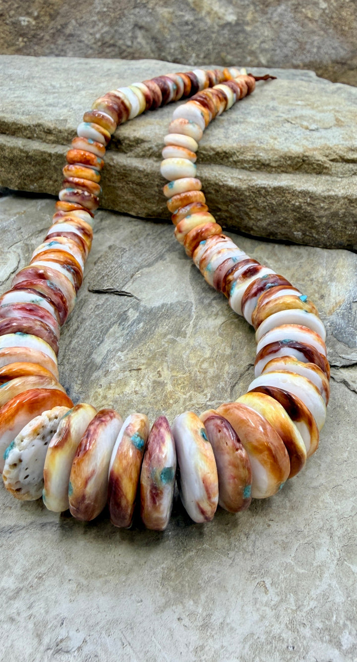 FRIDAY BARGAIN BUY Spiny Oyster Shell with Turquoise Inlay