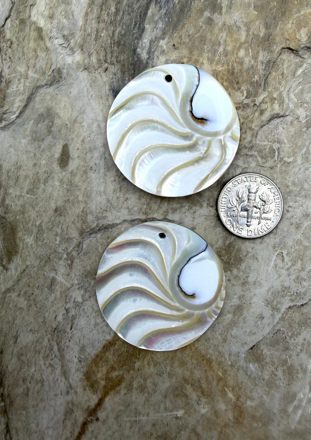 FRIDAY BARGAIN CLOSEOUT Shell Focal Pendant Bead ONE Shell