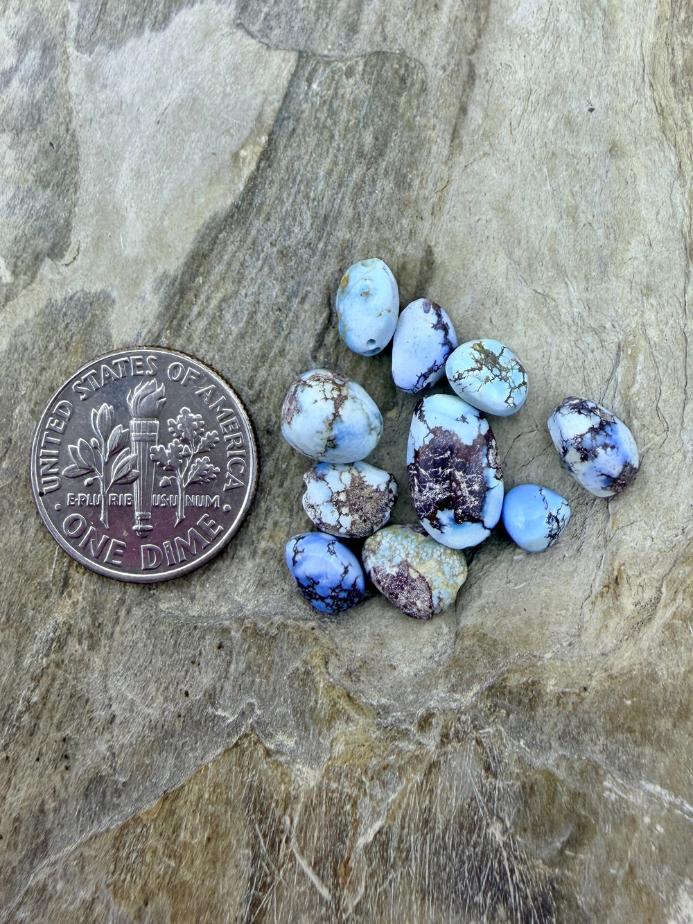 FRIDAY BARGAIN LOT of 10 Golden Hills Turquoise Rounded