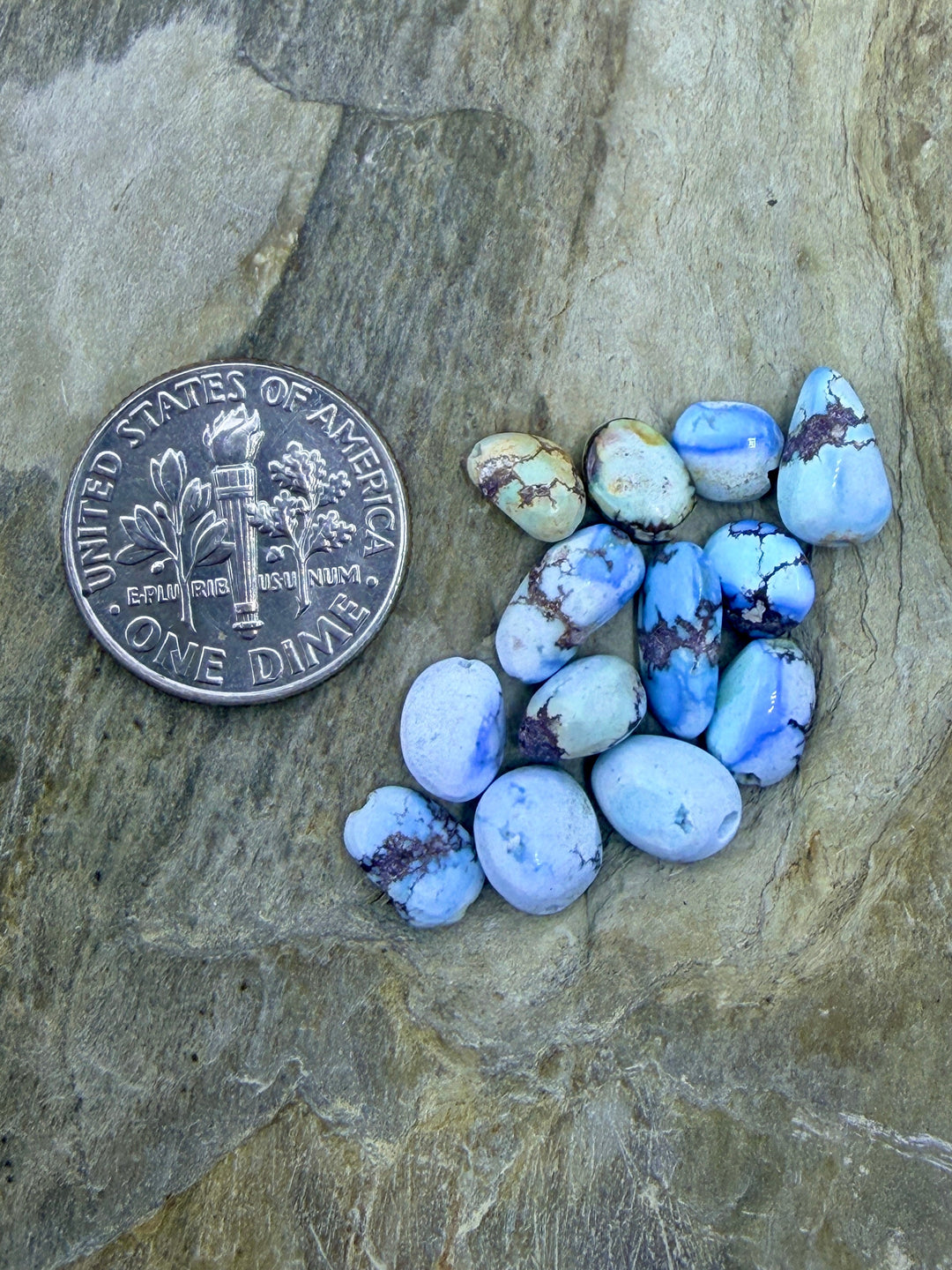 FRIDAY BARGAIN LOT of 13 Golden Hills Turquoise Rounded