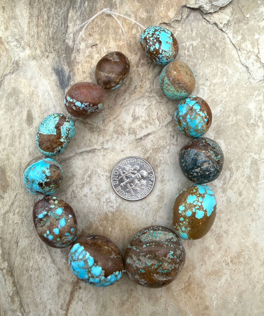 FRIDAY BARGAIN RARE Number 8 Turquoise (Nevada) Graduated
