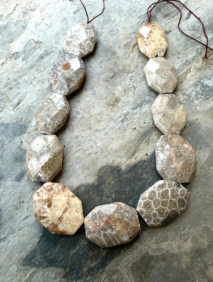 Fossil Coral BIG 27x37mm Faceted Bead Strand 16 Inch Strand