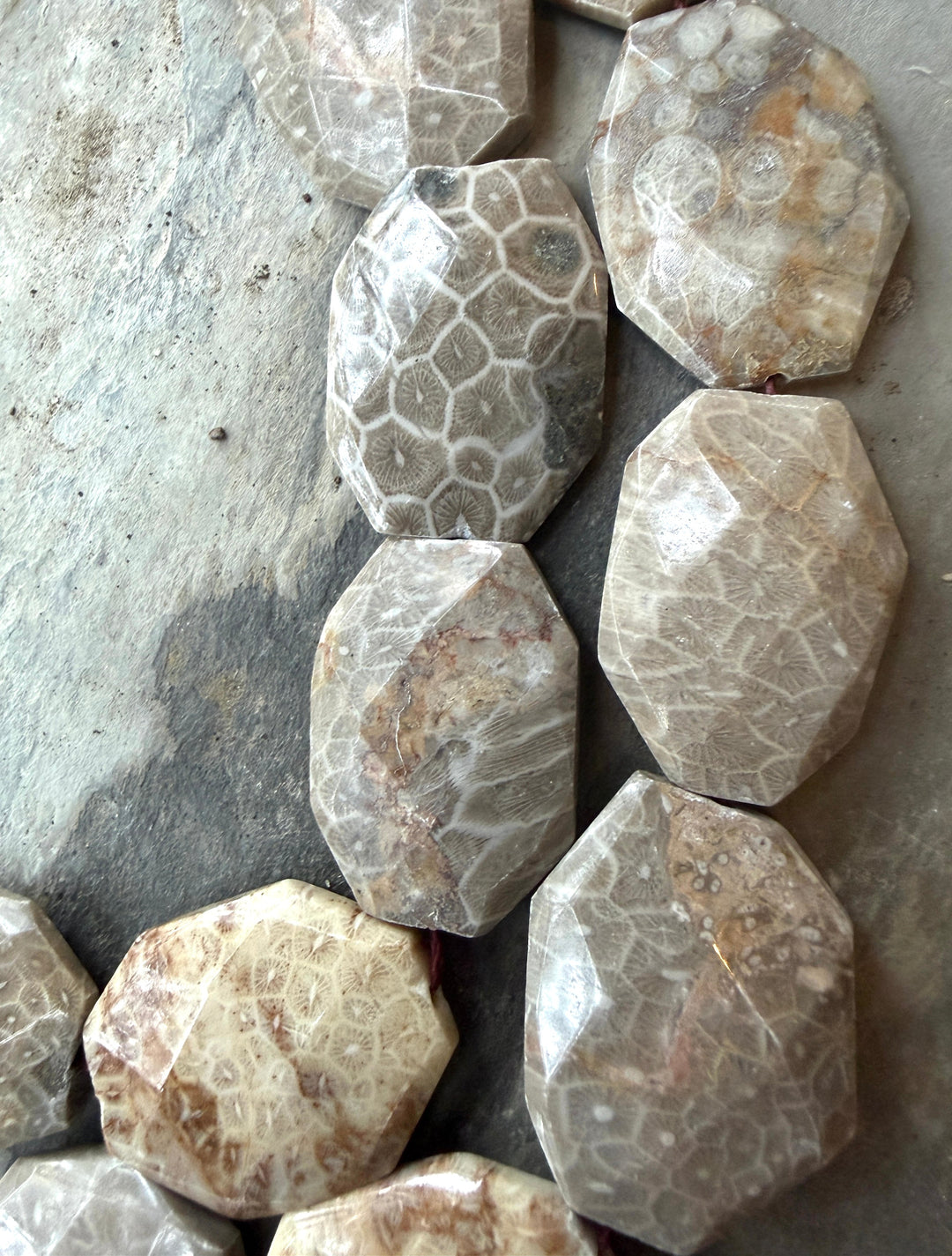 Fossil Coral BIG 27x37mm Faceted Bead Strand 16 Inch Strand