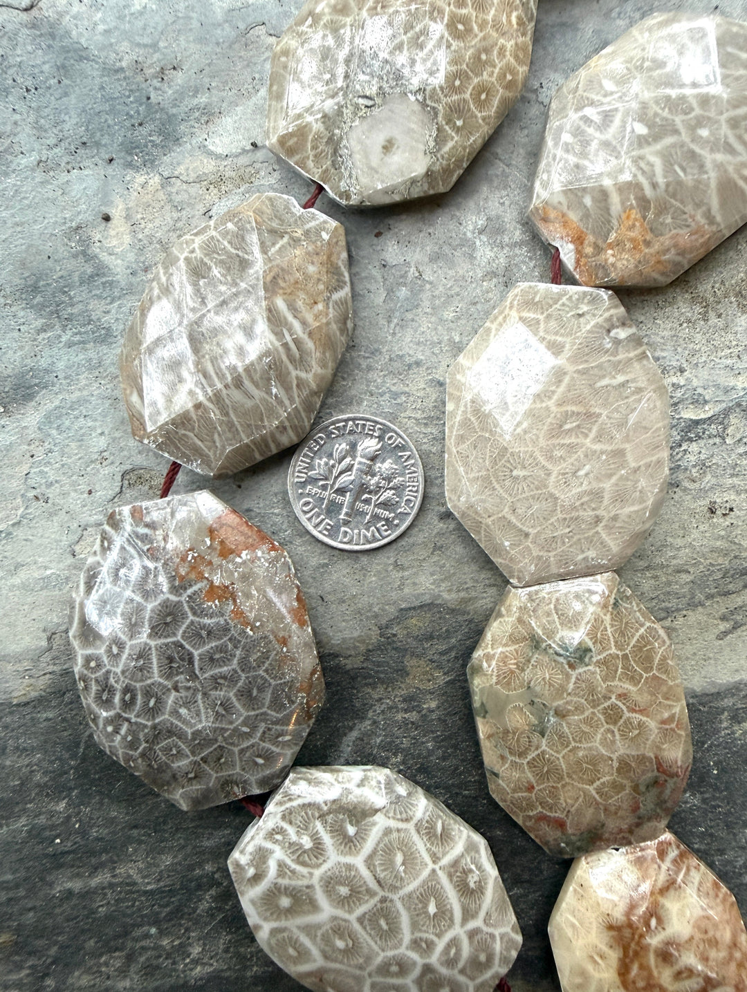 Fossil Coral BIG 27x37mm Faceted Bead Strand 16 Inch Strand