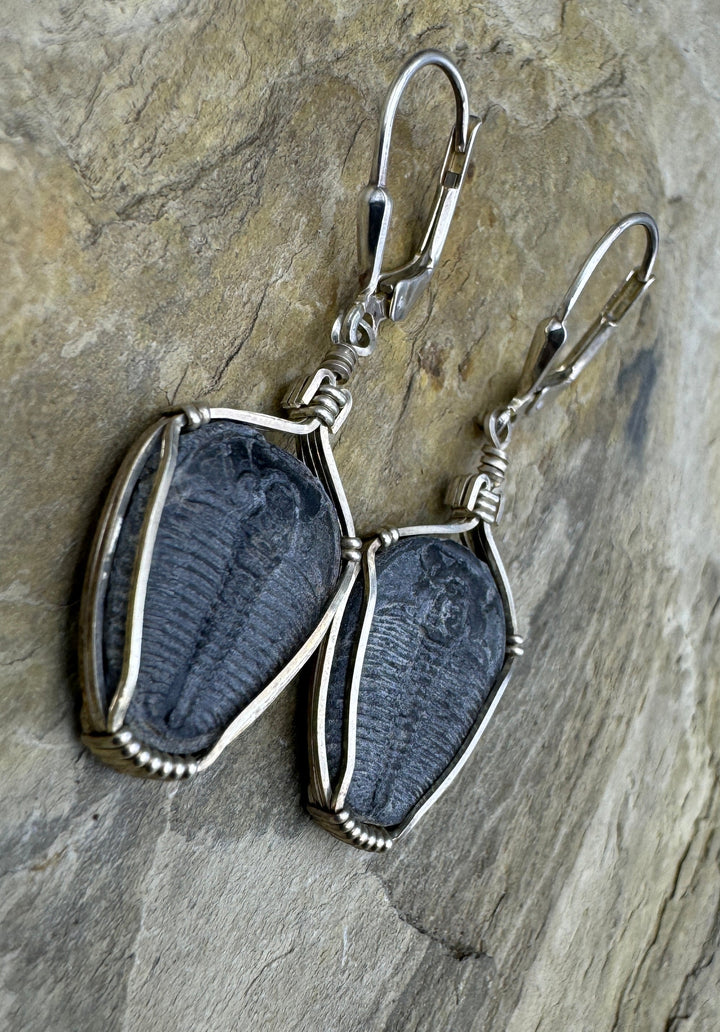 Heidi White Designs Wire Wrapped Trilobite Fossil Earrings