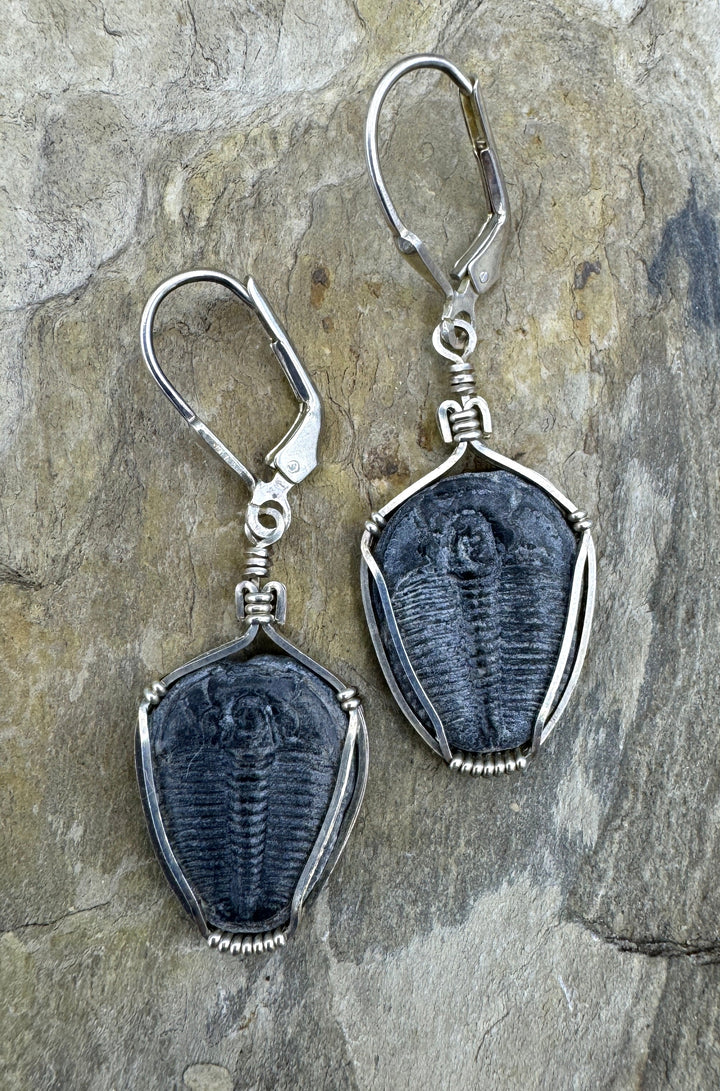 Heidi White Designs Wire Wrapped Trilobite Fossil Earrings