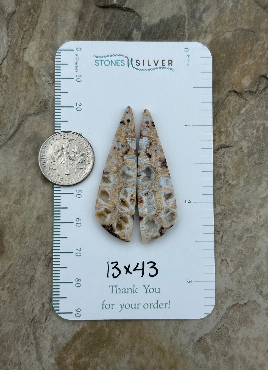 Honeycomb Petrified Palm Wood Matching Earring Slab Bead