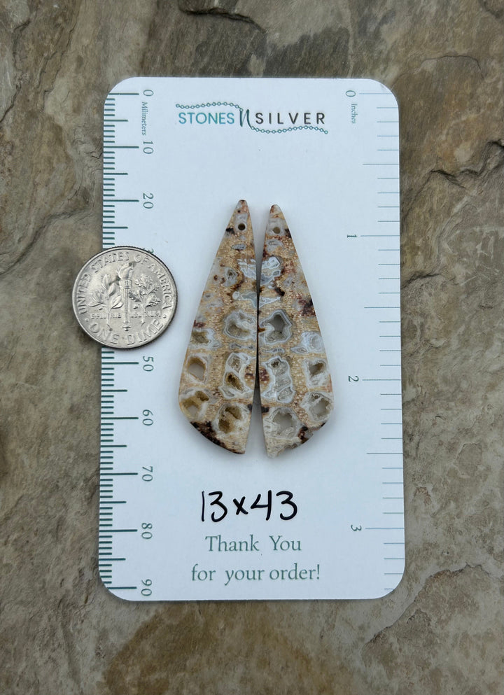 Honeycomb Petrified Palm Wood Matching Earring Slab Bead
