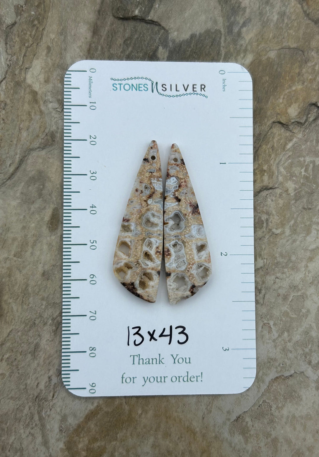 Honeycomb Petrified Palm Wood Matching Earring Slab Bead