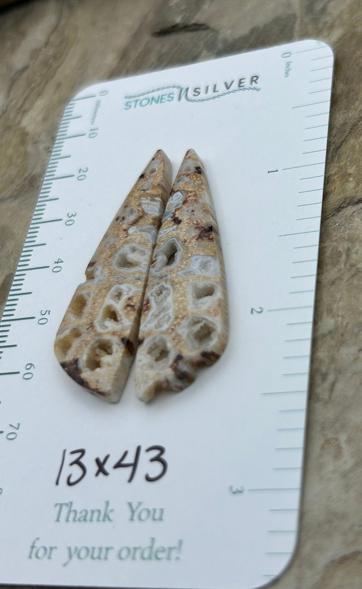 Honeycomb Petrified Palm Wood Matching Earring Slab Bead