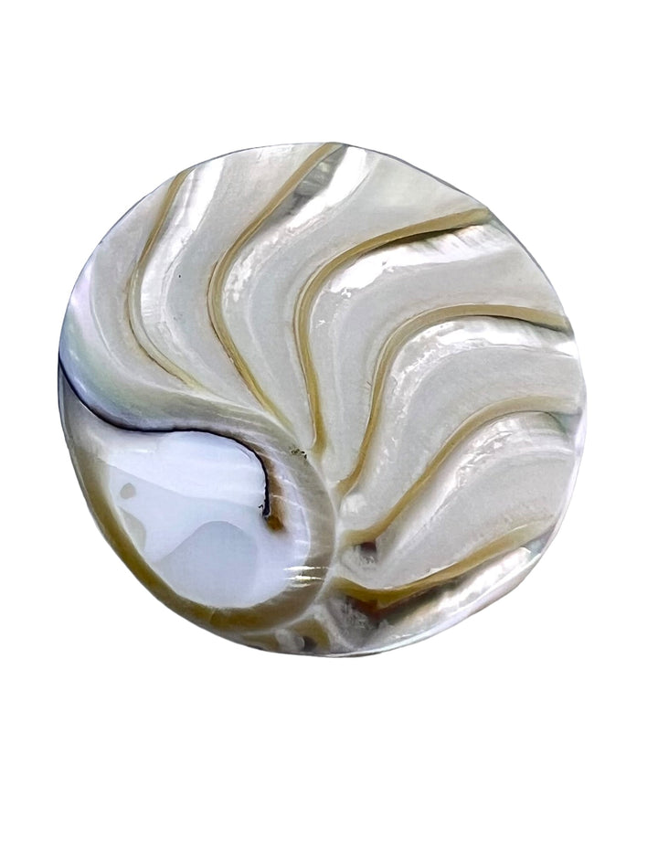 Indonesian Nautilus Shell Round Cabochon 30mm - Indonesian