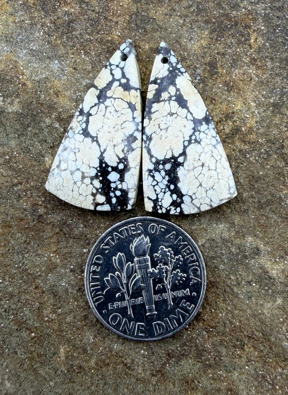 Ivory Creek Variscite (Kazakhstan) Matching Earring Slab