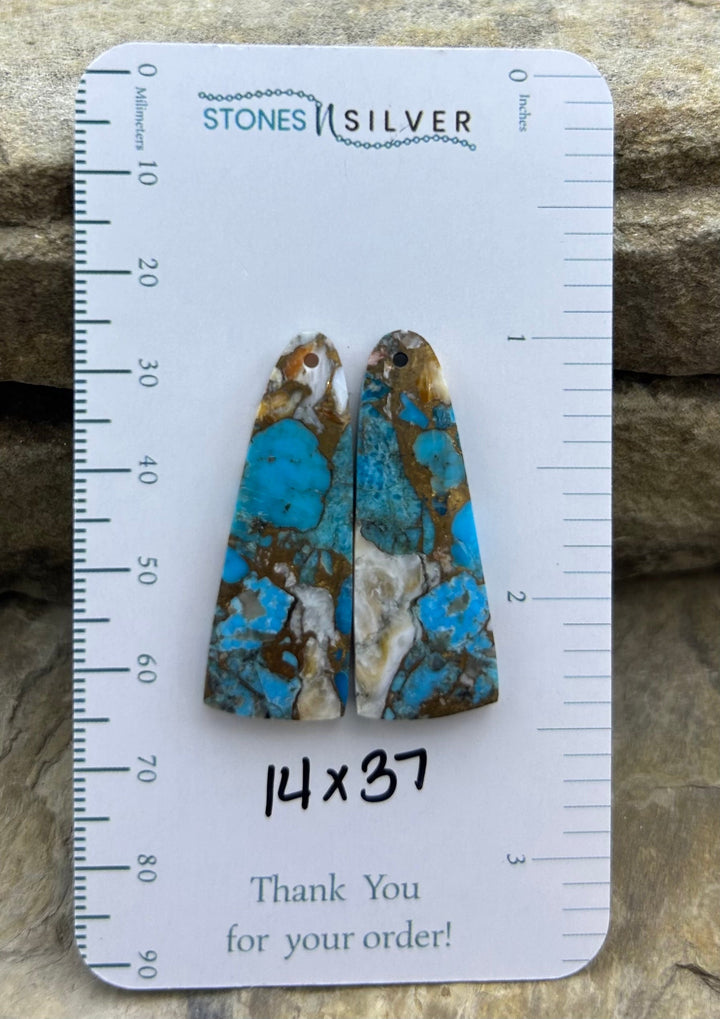 Kingman Turquoise and Orange Spiny Oyster with Bronze