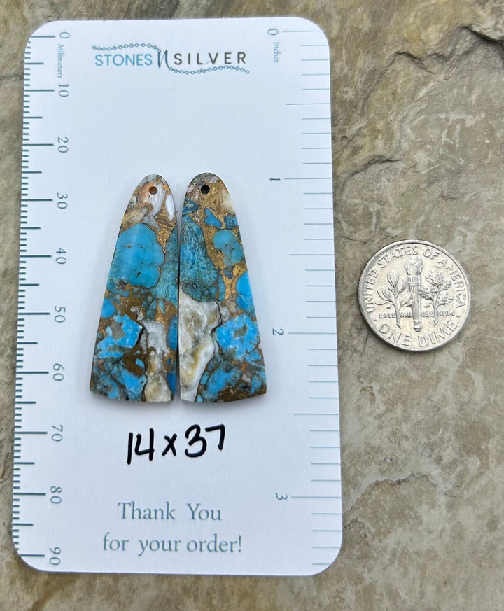 Kingman Turquoise and Orange Spiny Oyster with Bronze