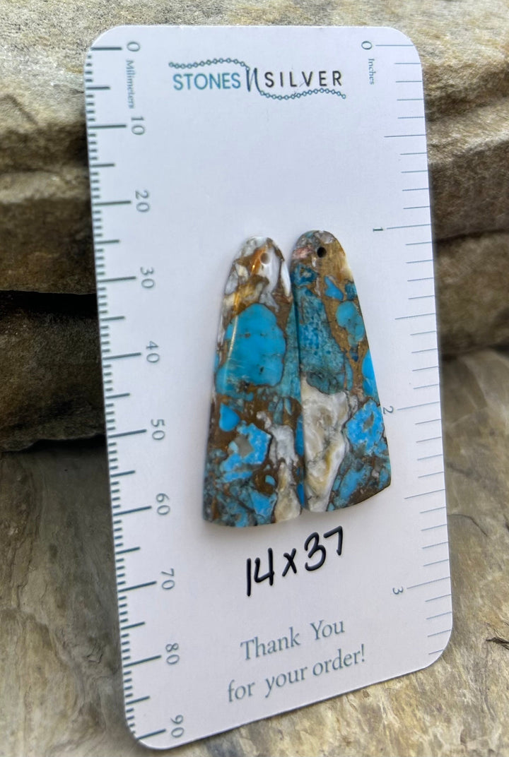 Kingman Turquoise and Orange Spiny Oyster with Bronze