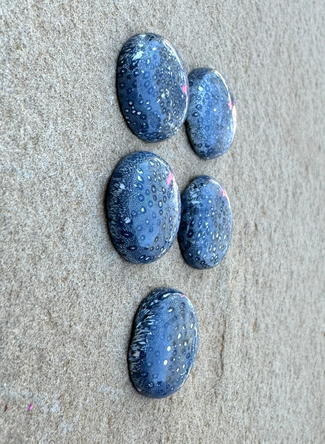 Natural Blue Sponge Coral Calibrated Round Cabochons 20mm