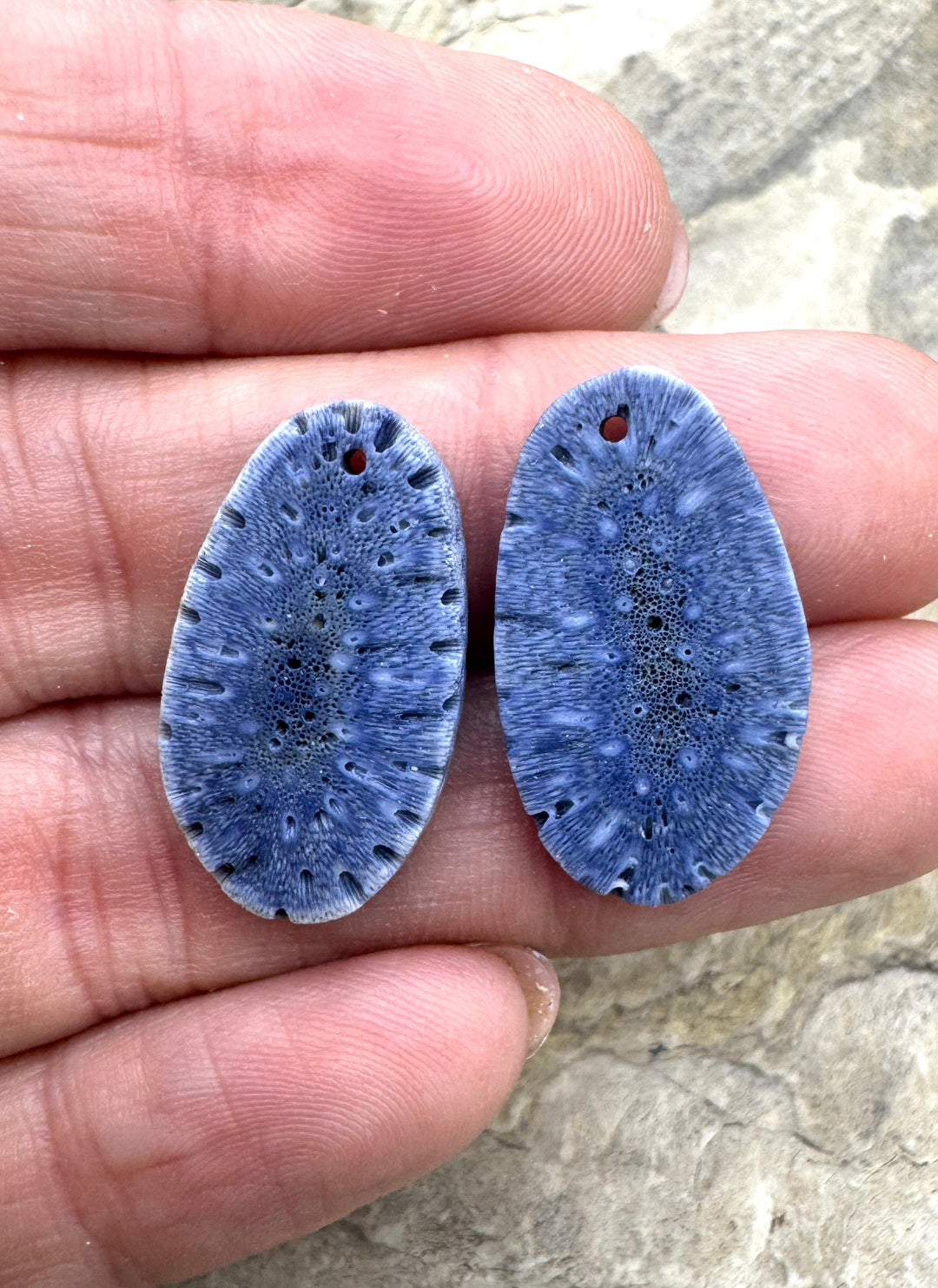 Natural Blue Sponge Coral Matching Earing Slab Bead Pair
