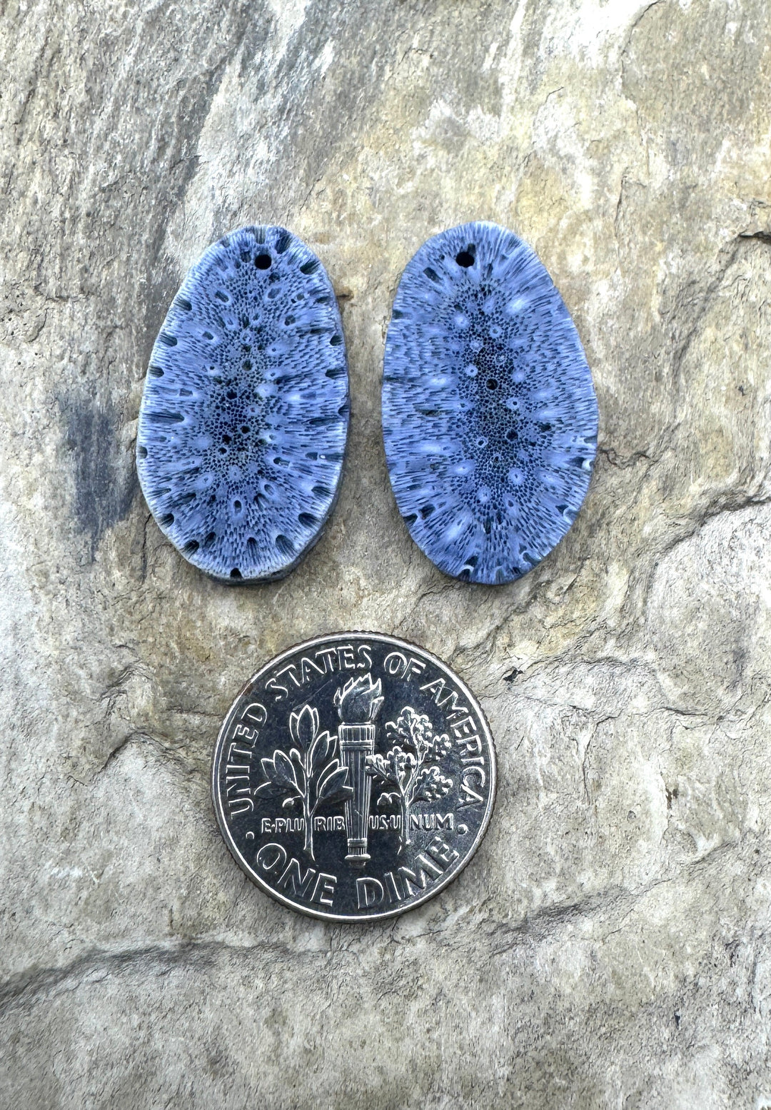 Natural Blue Sponge Coral Matching Earing Slab Bead Pair