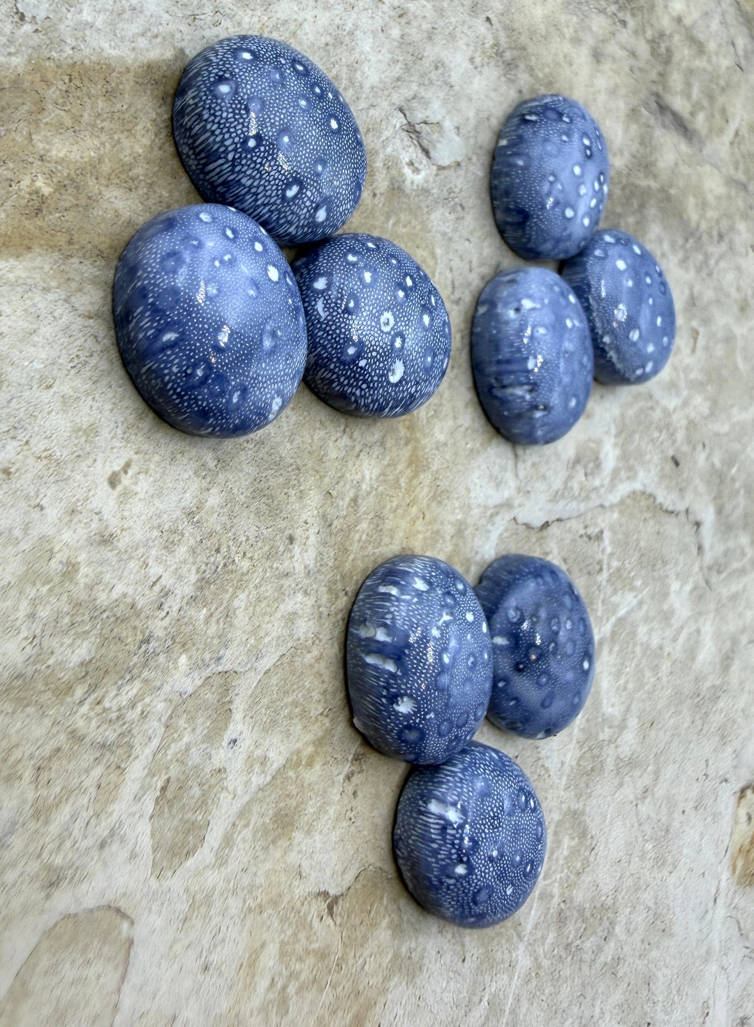 Natural Blue Sponge Coral Oval Calibrated Cabochons 10x12mm