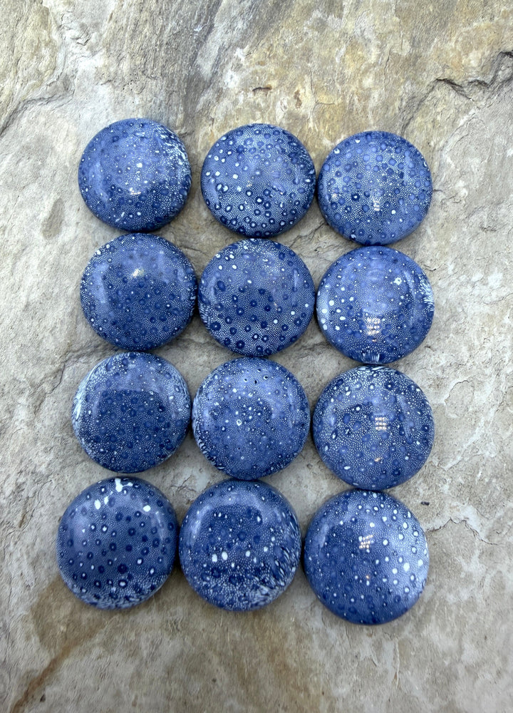 Natural Blue Sponge Coral Round Calibrated 18mm Cabochons