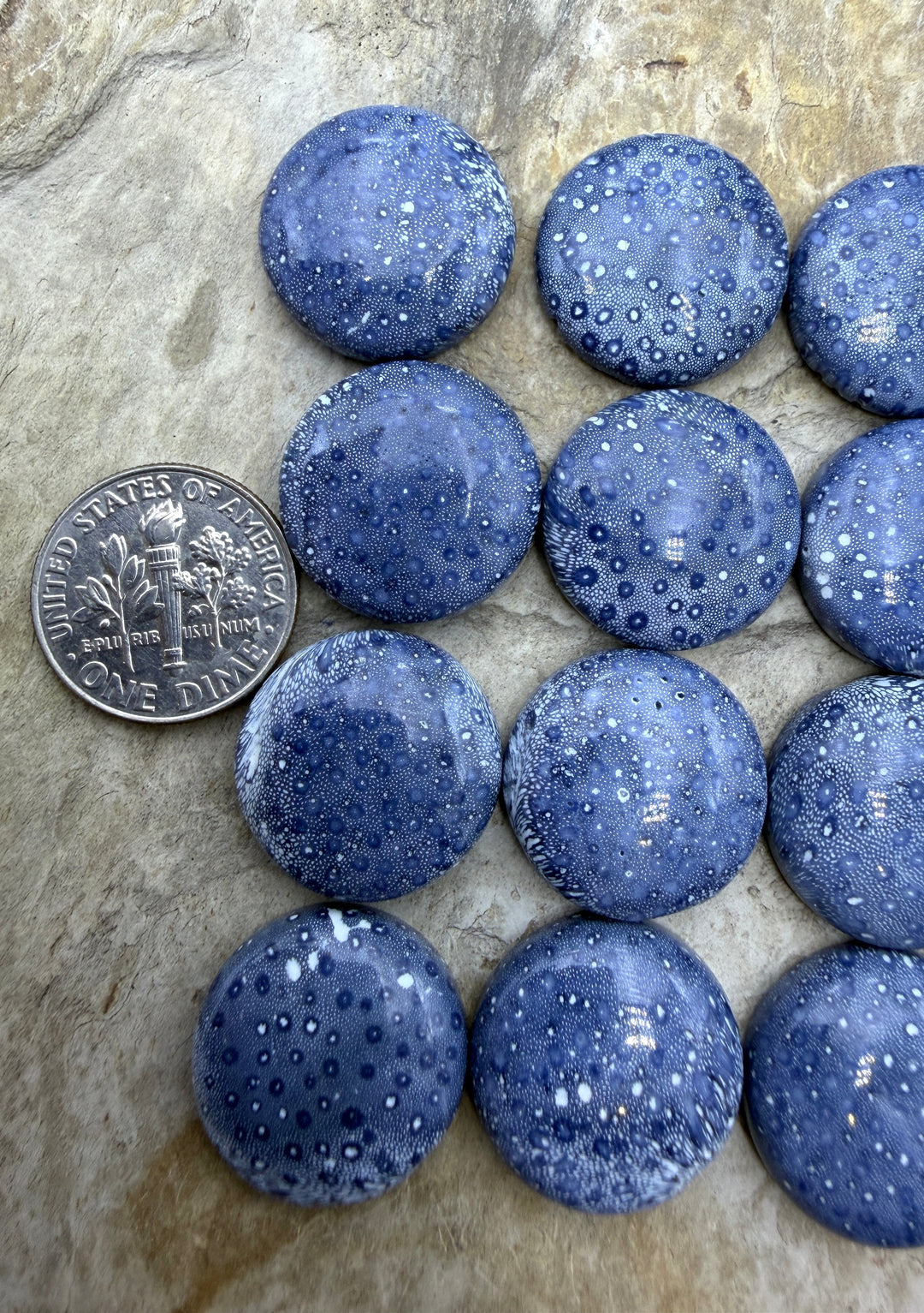 Natural Blue Sponge Coral Round Calibrated 18mm Cabochons