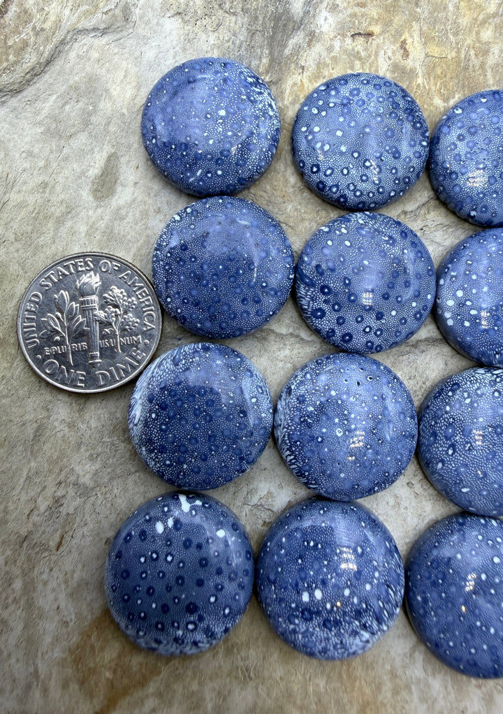 Natural Blue Sponge Coral Round Calibrated 18mm Cabochons