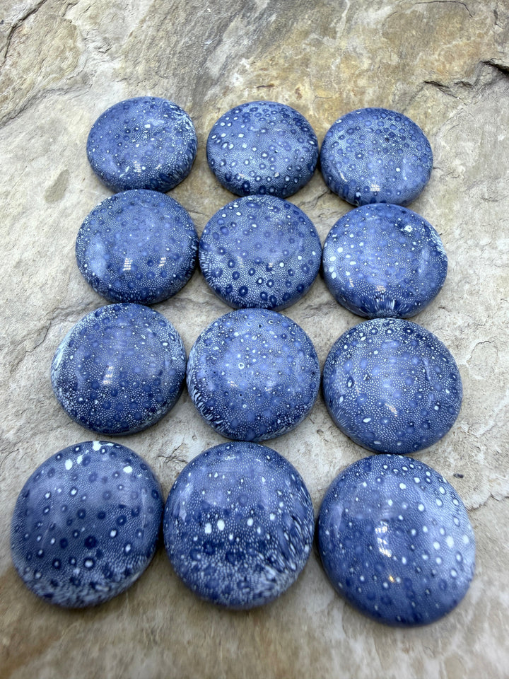 Natural Blue Sponge Coral Round Calibrated 18mm Cabochons