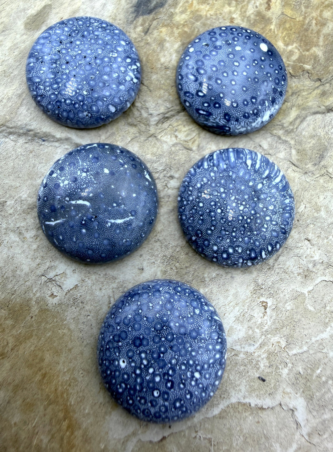 Natural Blue Sponge Coral Round Calibrated 20mm Cabochons
