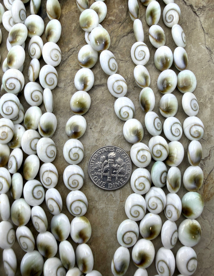 Natural Center Cut Shiva Shell Oval Beads 8x10mm 16 Inch