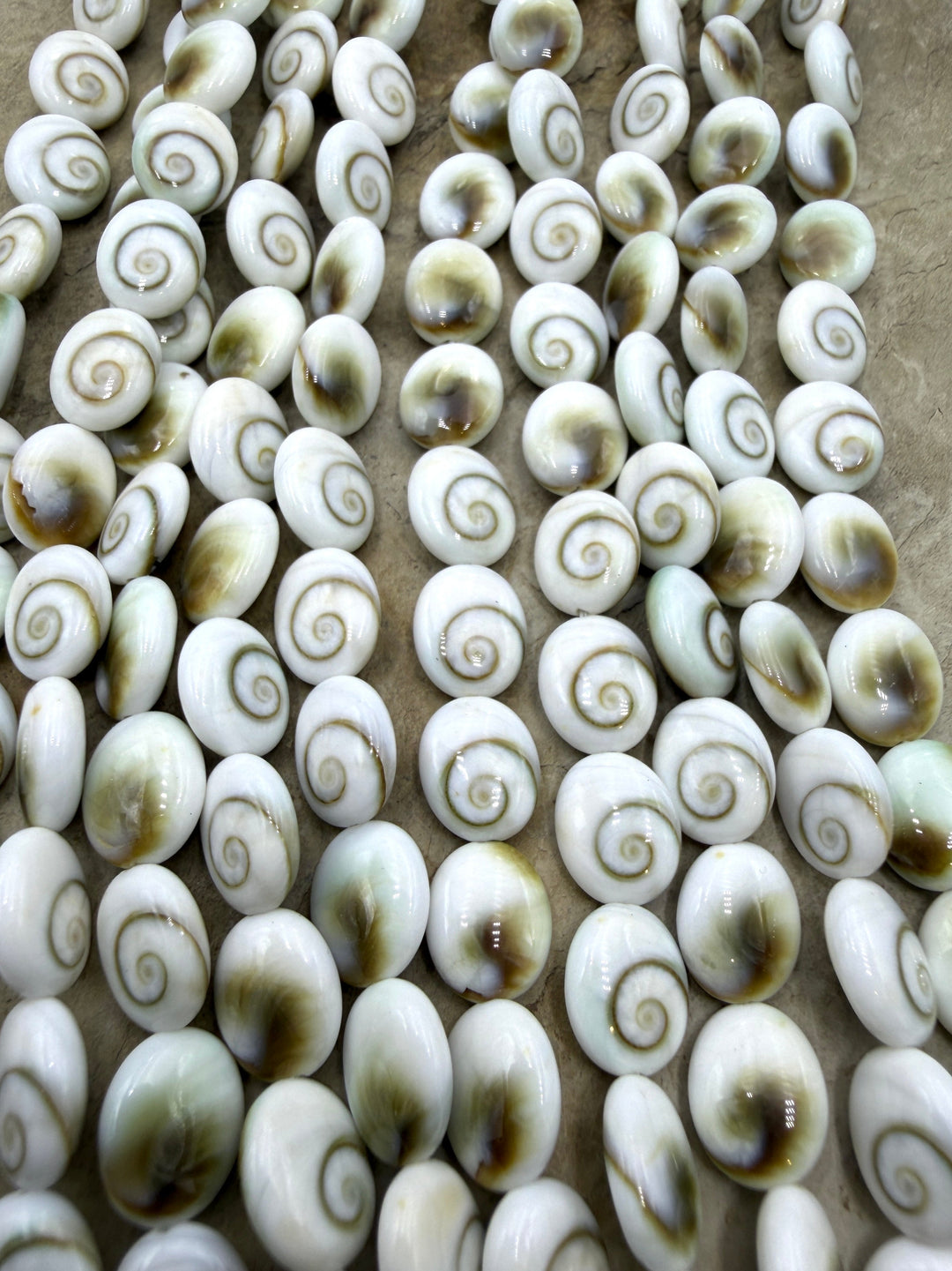 Natural Center Cut Shiva Shell Oval Beads 8x10mm 16 Inch