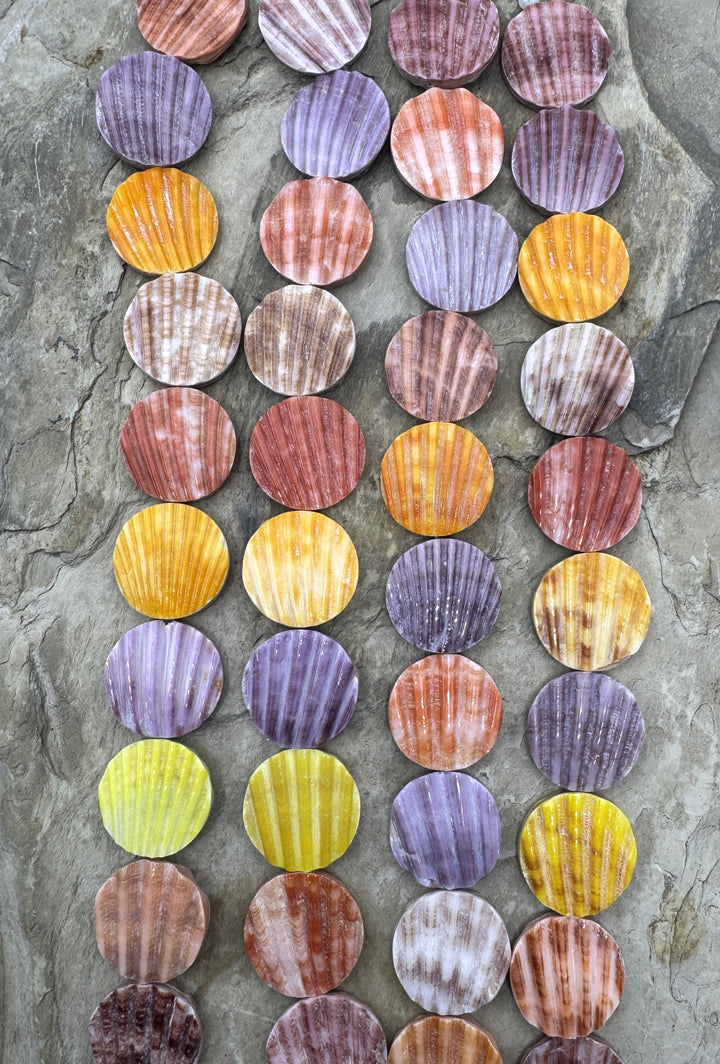 Natural Pecten Shell 19mm Coin Beads 8 inch Strand/10 Beads