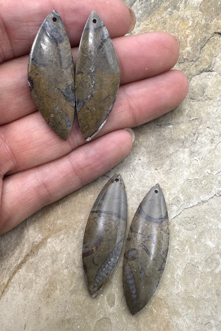 Natural Stone with Fossil Earring Slab Bead Pair Select