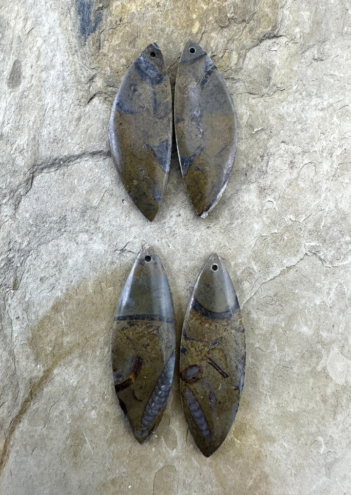 Natural Stone with Fossil Earring Slab Bead Pair Select