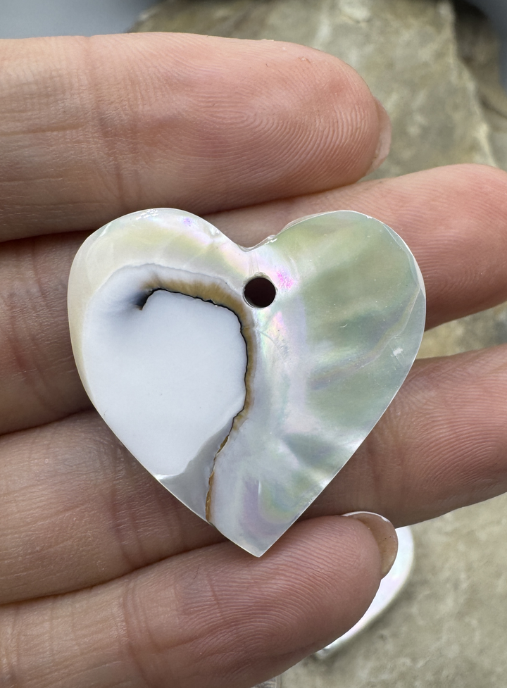 Nautilus Shell Heart Focal Pendant Beads 30mm - Nautilus