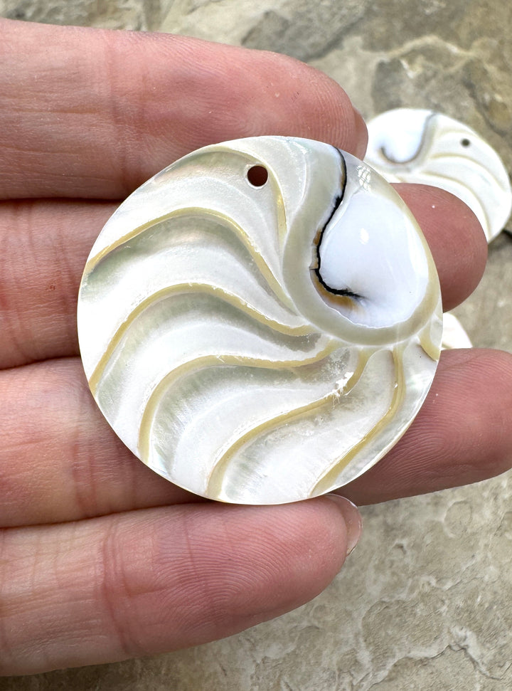 Nautilus Shell Round Focal Pendant Beads 44mm - Nautilus
