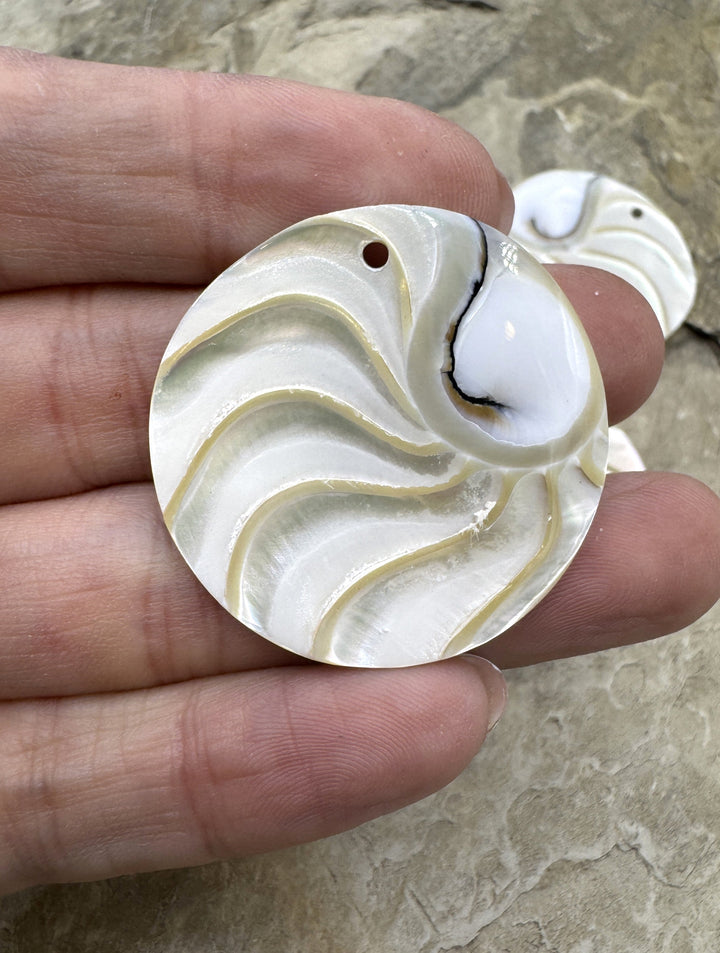 Nautilus Shell Round Focal Pendant Beads 44mm - Nautilus