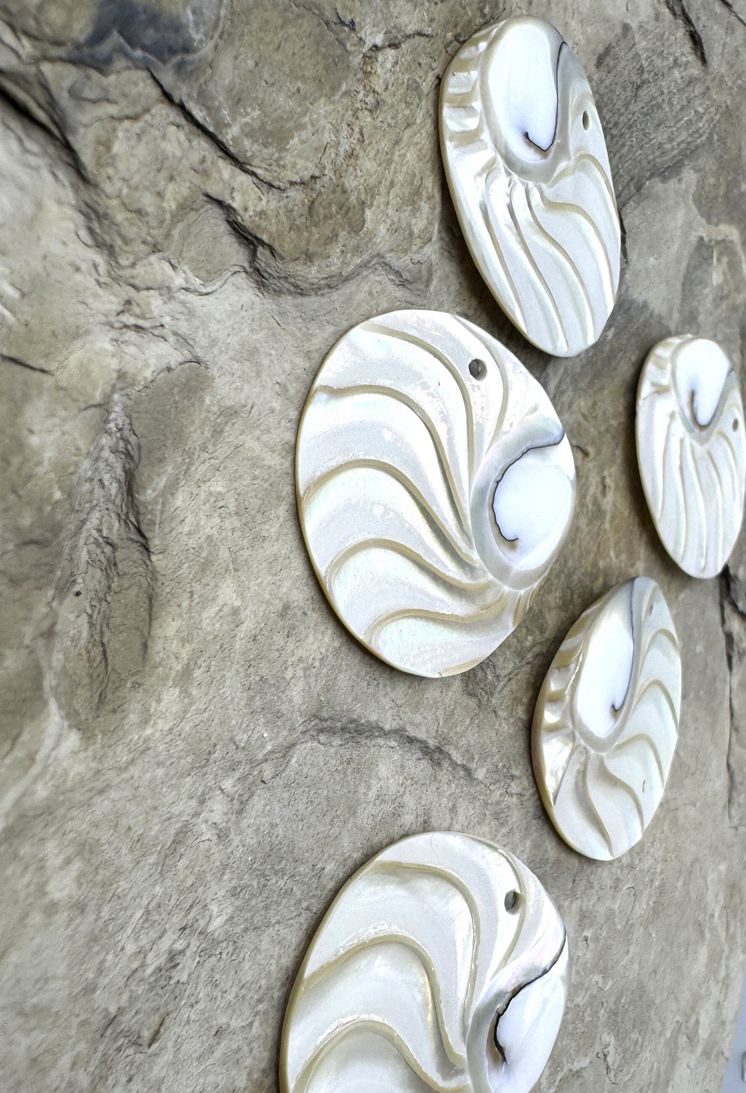 Nautilus Shell Round Focal Pendant Beads 44mm - Nautilus