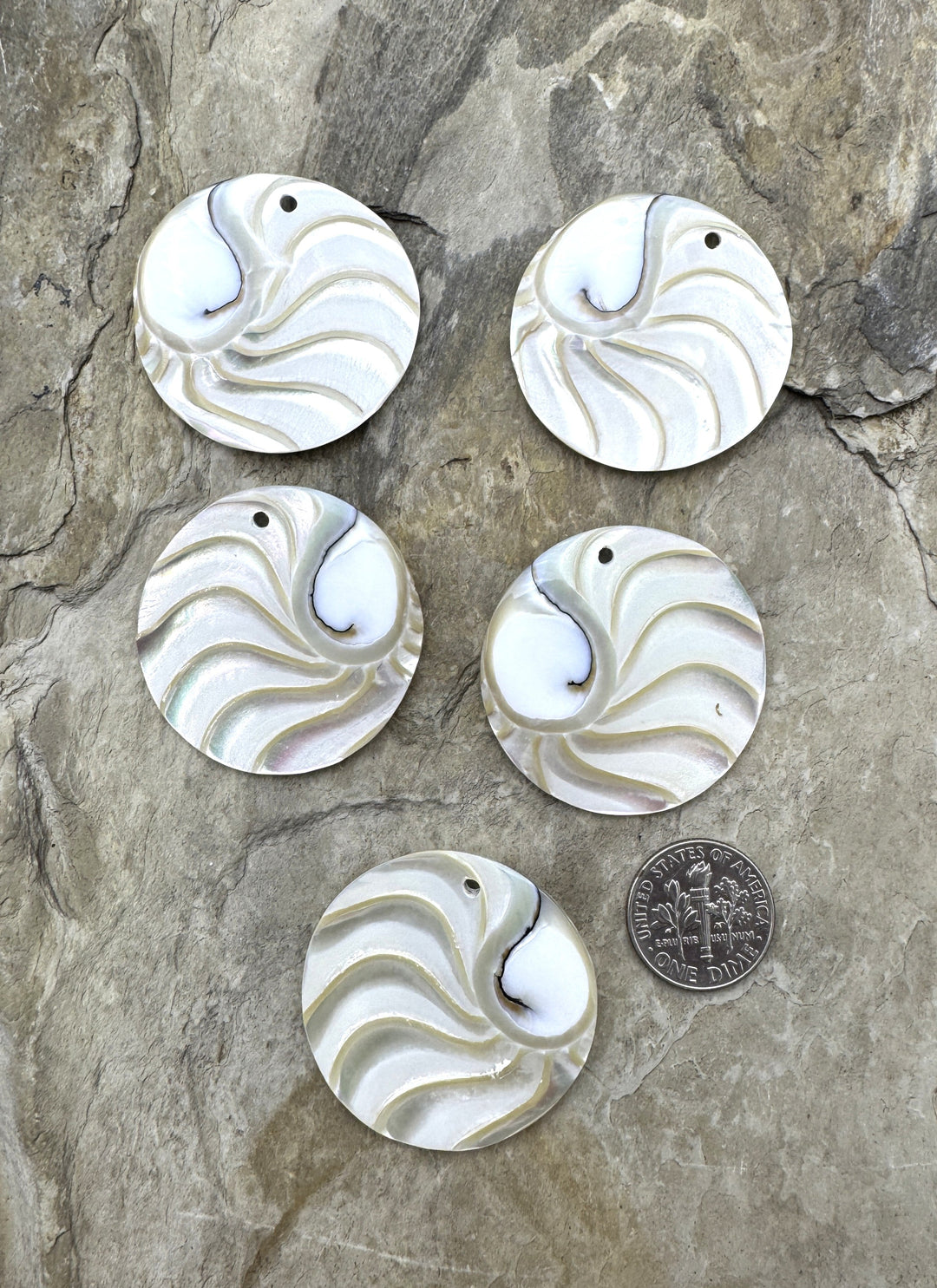 Nautilus Shell Round Focal Pendant Beads 44mm - Nautilus