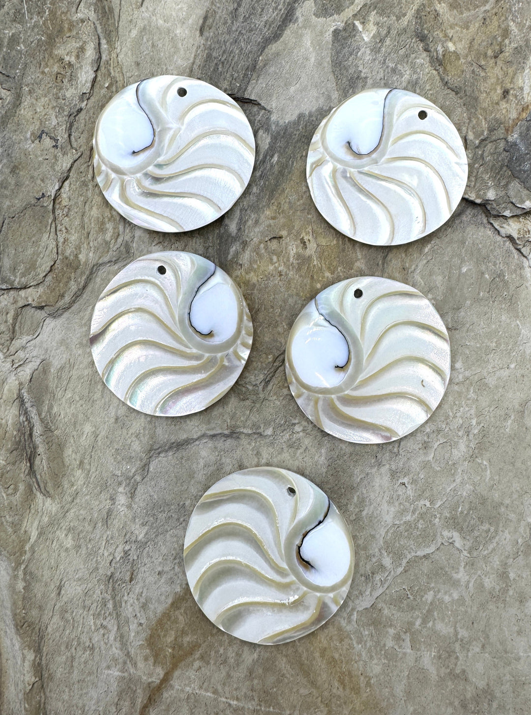 Nautilus Shell Round Focal Pendant Beads 44mm - Nautilus