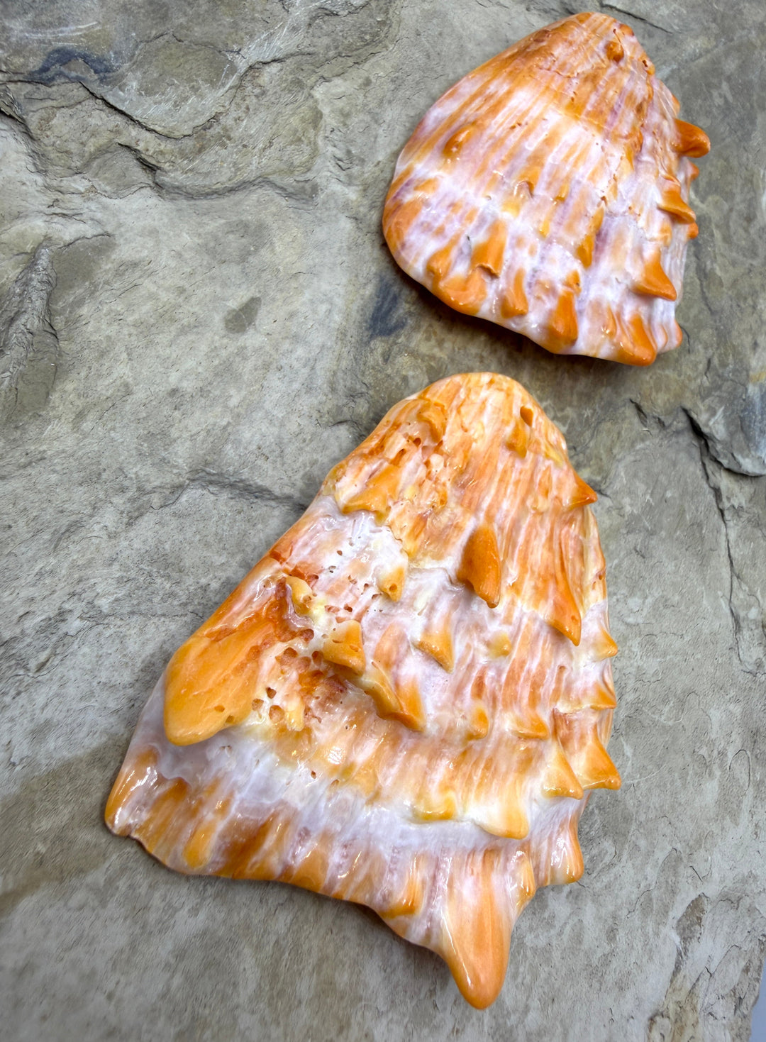 Orang Spiny XLARGE Focal Pendant Bead (Large Hole)