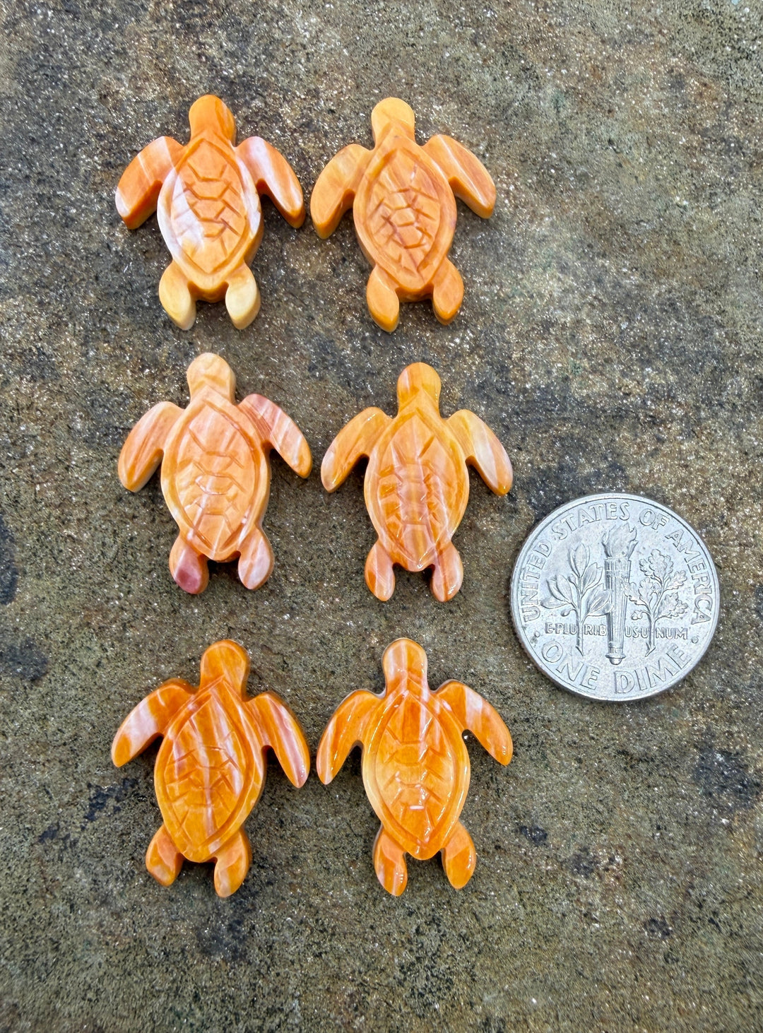 Orange Spiny Oyster Shell Turtle Beads 15x20mm Package of 2