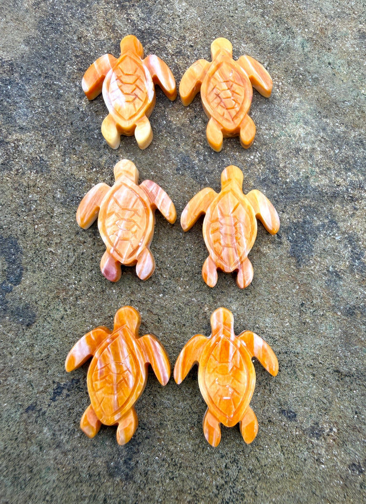 Orange Spiny Oyster Shell Turtle Beads 15x20mm Package of 2