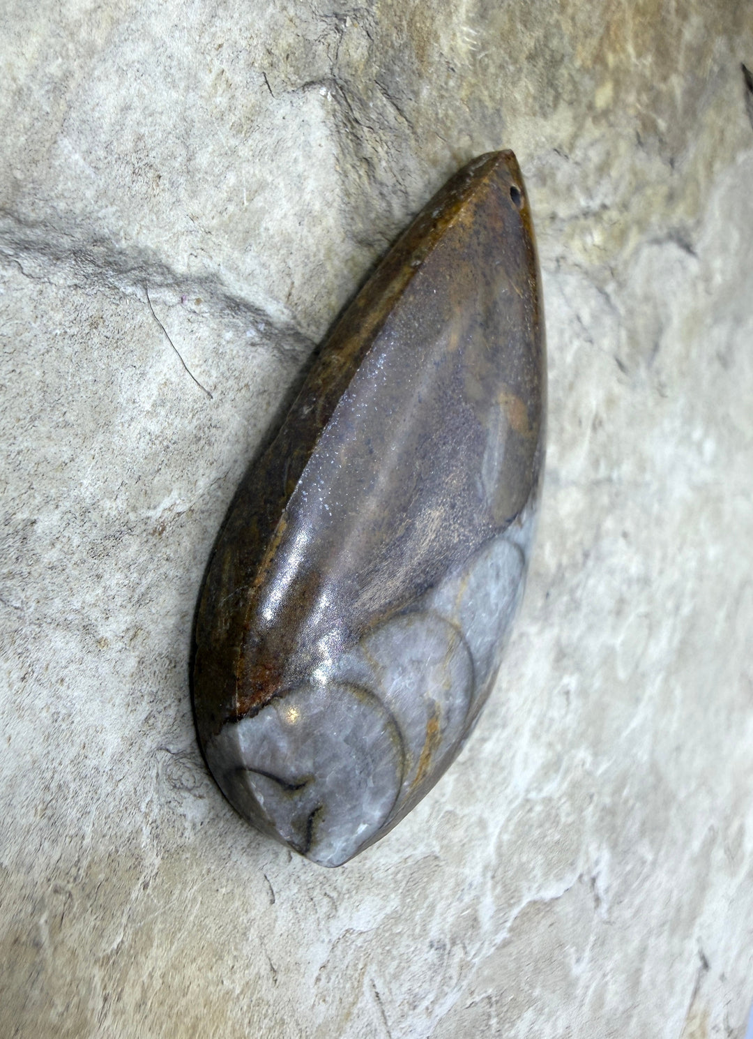 Orthoceras Fossil Stone Focal Pendant Bead 20x41mm