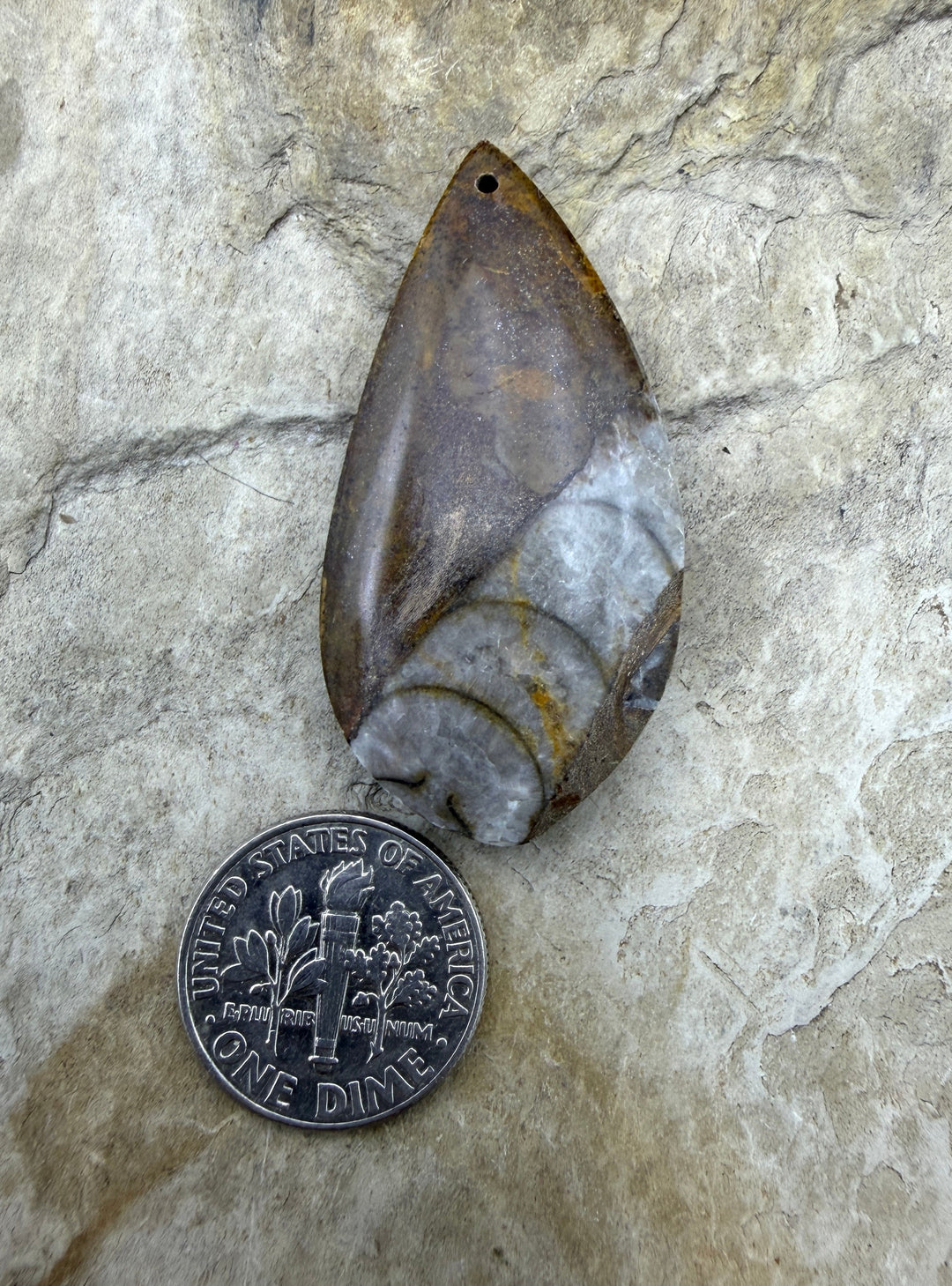 Orthoceras Fossil Stone Focal Pendant Bead 20x41mm