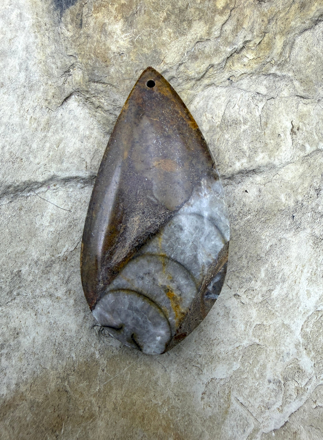 Orthoceras Fossil Stone Focal Pendant Bead 20x41mm